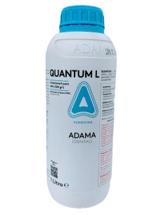QUANTUM L