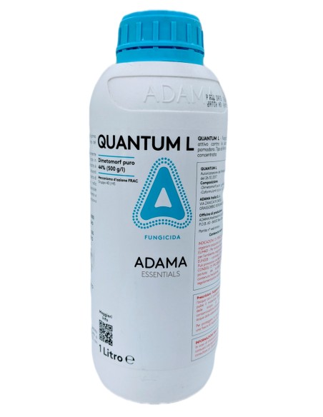 QUANTUM L