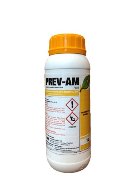 PREV-AM