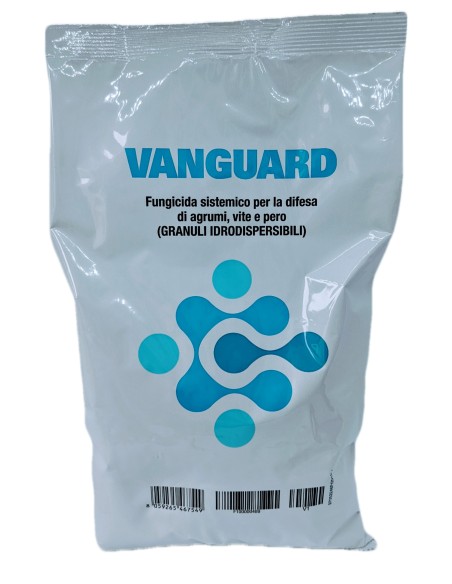 VANGUARD