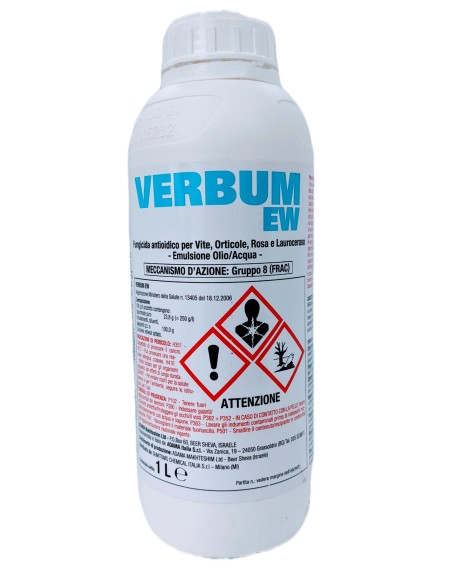 VERBUM EW