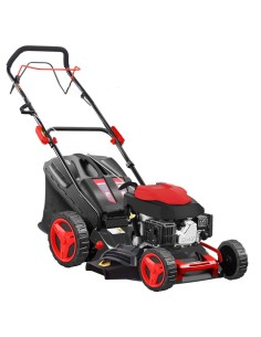 RASAERBA A SCOPPIO BLUE BIRD SPRINT B46 T T6 146CC