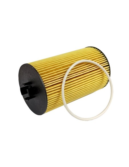 filtro olio motore