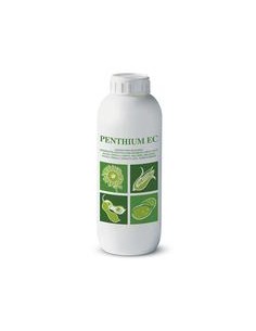 PENTHIUM EC X 1