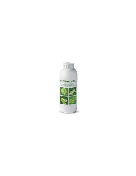 PENTHIUM EC X 1