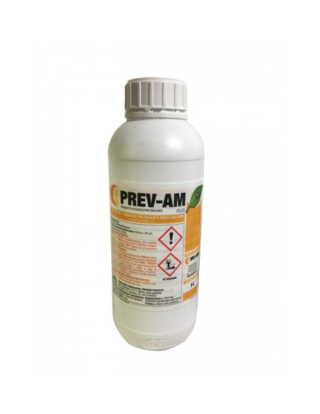 PREV-AM PLUS X 1 LT