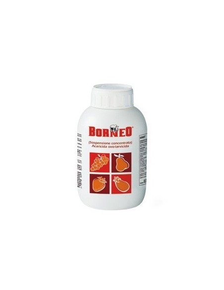 BORNEO X 0.5 LT