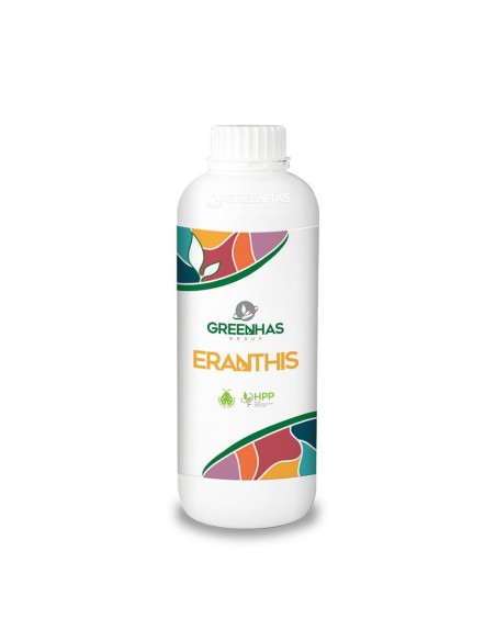 ERANTHIS X 5 KG