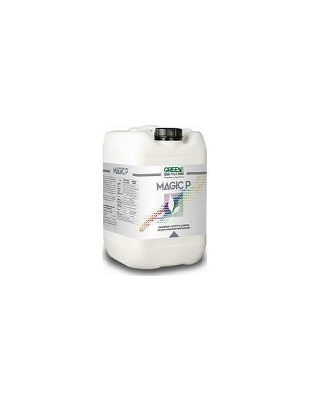 MAGIC P X 6 KG