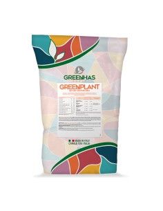 GREENPLANT 20-20-20 X 25 KG